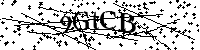 Bitte geben Sie die gezeigten Buchstaben und Zahlen ein